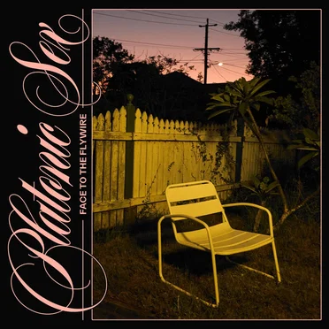 Face to the Flywire by Platonic Sex - album cover
