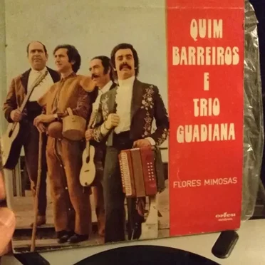Flores Mimosas by Quim Barreiros - album cover