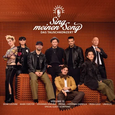 Sing meinen Song - Das Tauschkonzert, Vol. 13 by Various Artists - album cover