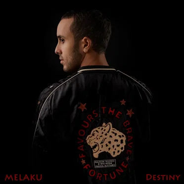 Destiny by Melaku - album cover