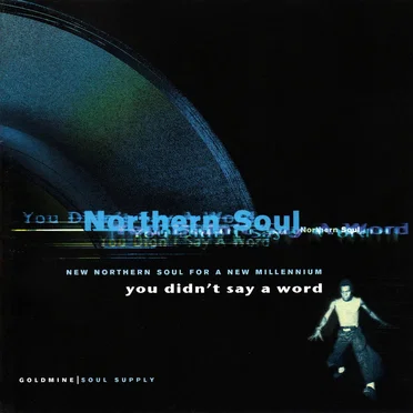 You Didn’t Say A Word by Various Artists - album cover