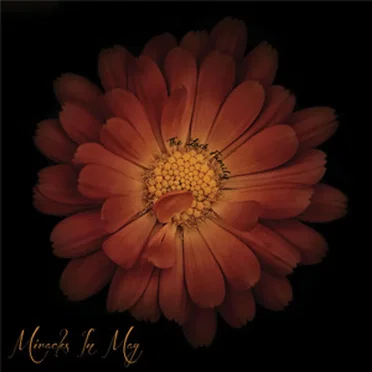 Miracles in May by The Lack Family - album cover