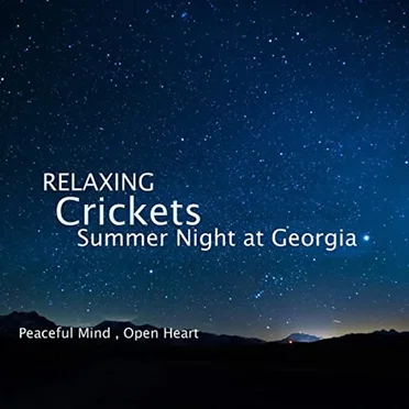 Relaxing Crickets Summer Night at Georgia by Acerting Art - album cover