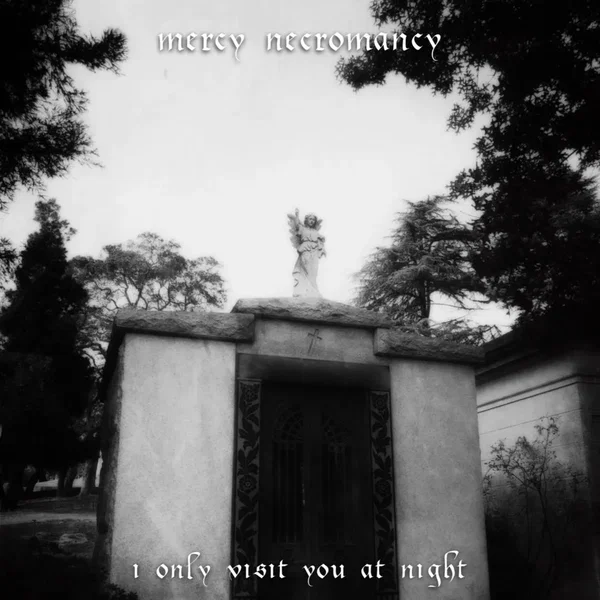 I Only Visit You at Night