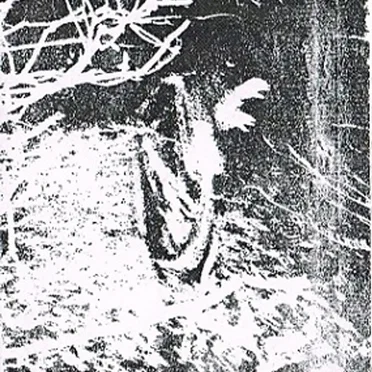 Schimmenklanken by Staar - album cover