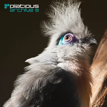 Platipus Archive 9 by Various Artists - album cover