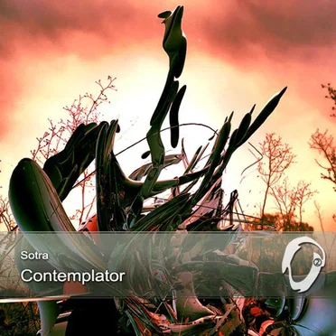 Contemplator by Sotra - album cover
