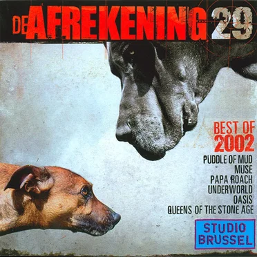 De Afrekening 29: Best of 2002 by Various Artists - album cover