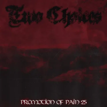 Promotion of Pain by Two Choices - album cover