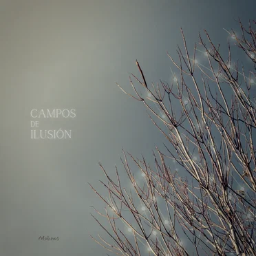 Campos de Ilusión