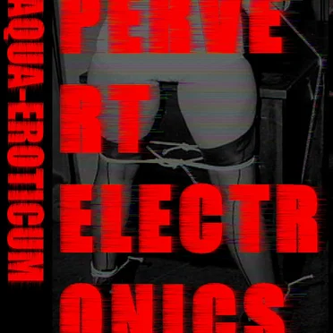 Pervert Electronics