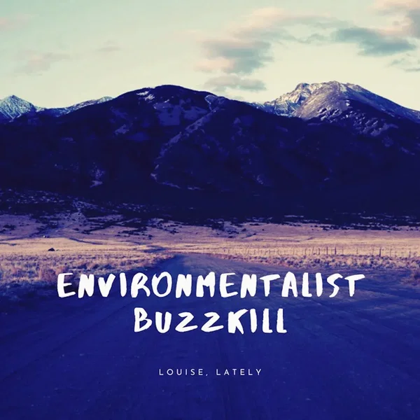 Environmentalist Buzzkill