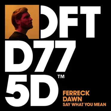 Say What You Mean by Ferreck Dawn - album cover
