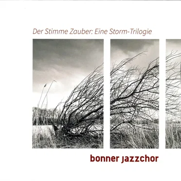 Der Stimme Zauber: Eine Storm-Trilogie