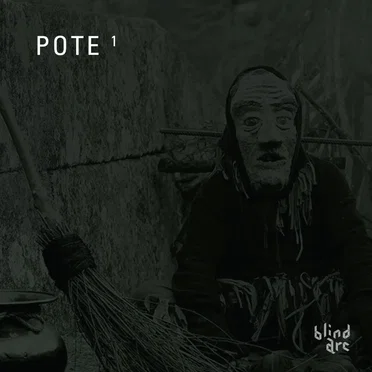 Pote 1 by Various Artists - album cover
