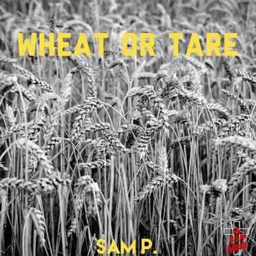 Wheat or Tare