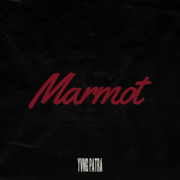 Marmot