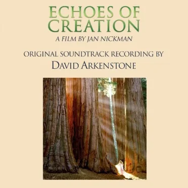 Echoes of Creation