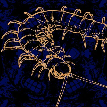 Scolopendra (remix)