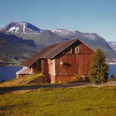 André Øy