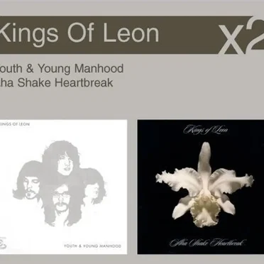 ×2: Youth & Young Manhood / Aha Shake Heartbreak