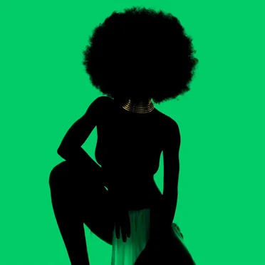 Nont for Sale by Sudan Archives - album cover