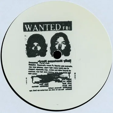 LIES 020.5 by Person Of Interest - album cover