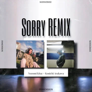 Sorry [Remix]