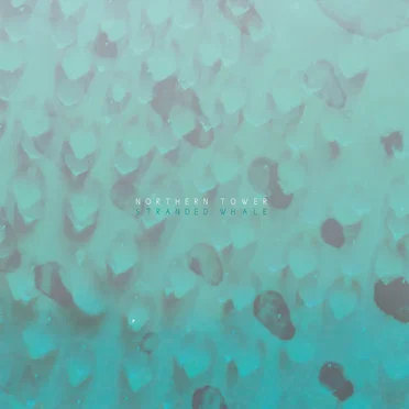 Northern Tower by Stranded Whale - album cover