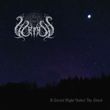 A Secret Night Under the Stars
