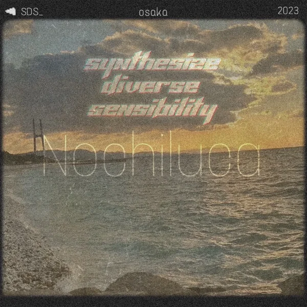 Noctilca