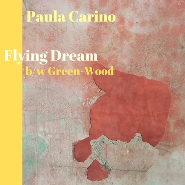 Flying Dream
