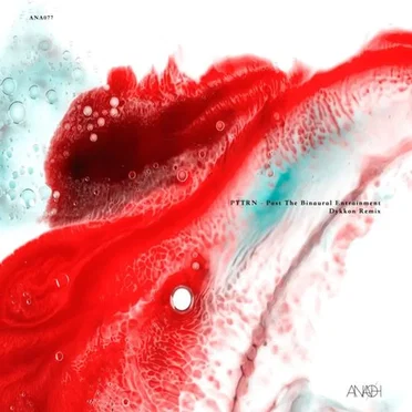 Past The Binaural Entrainment by PTTRN - album cover