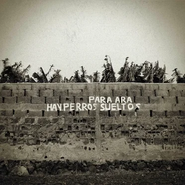 hay perros sueltos