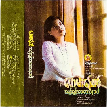 အမုန်းခွန်အားပေးသနားပါ by ဟေမာနေဝင်း - album cover