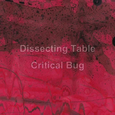Critical Bug