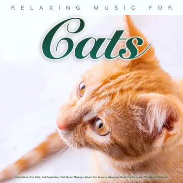 Relaxing Music For Cats: Calm Music For Pets, Pet Relaxation, Cat Music Therapy, Music For Anxiety, Sleeping Music For Cats and The Best Cat Music by Various Artists - album cover
