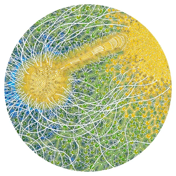 Feeling Is Structure