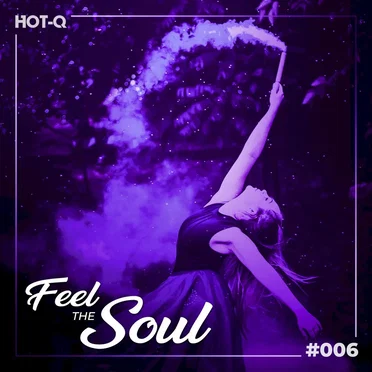 Feel The Soul 006 by Various Artists - album cover