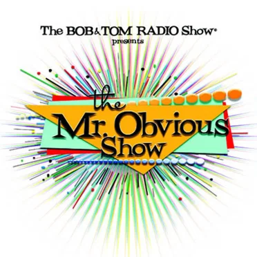 The Mr. Obvious Show
