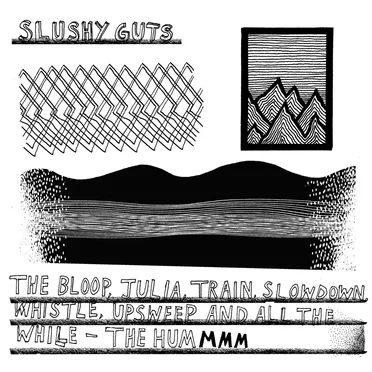 The Bloop, Julia, Train, Slowdown, Whistle, Unweep and the While - the Hum