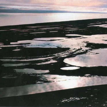 Lake Reflection Catalyst
