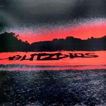Stealing From Helpless Children by Blitzoids - album cover