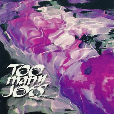 Charm by Too Many Joes - album cover
