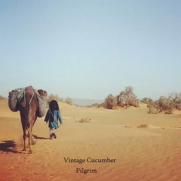 Pilgrim by Vintage Cucumber - album cover