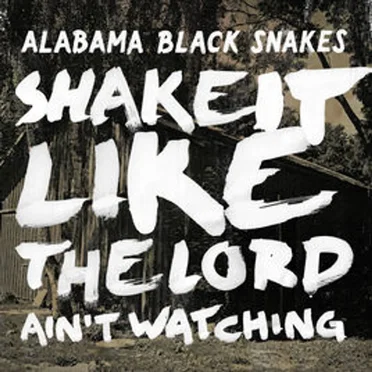 Shake It Like The Lord Ain't Watching