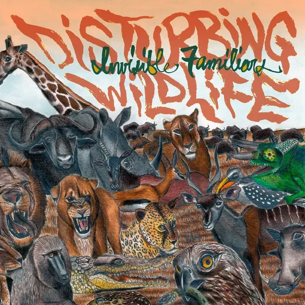 disturbing wildlife