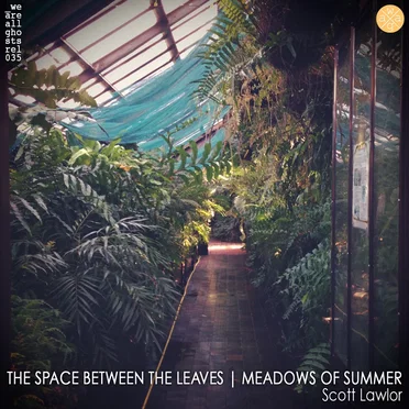 The Space Between the Leaves / Meadows of Summer