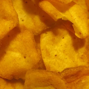 Bowl of Chips Shaker