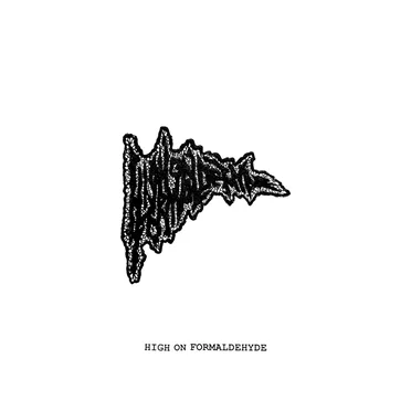 High on Formaldehyde by High on Formaldehyde - album cover